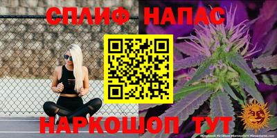 СК Кунгур